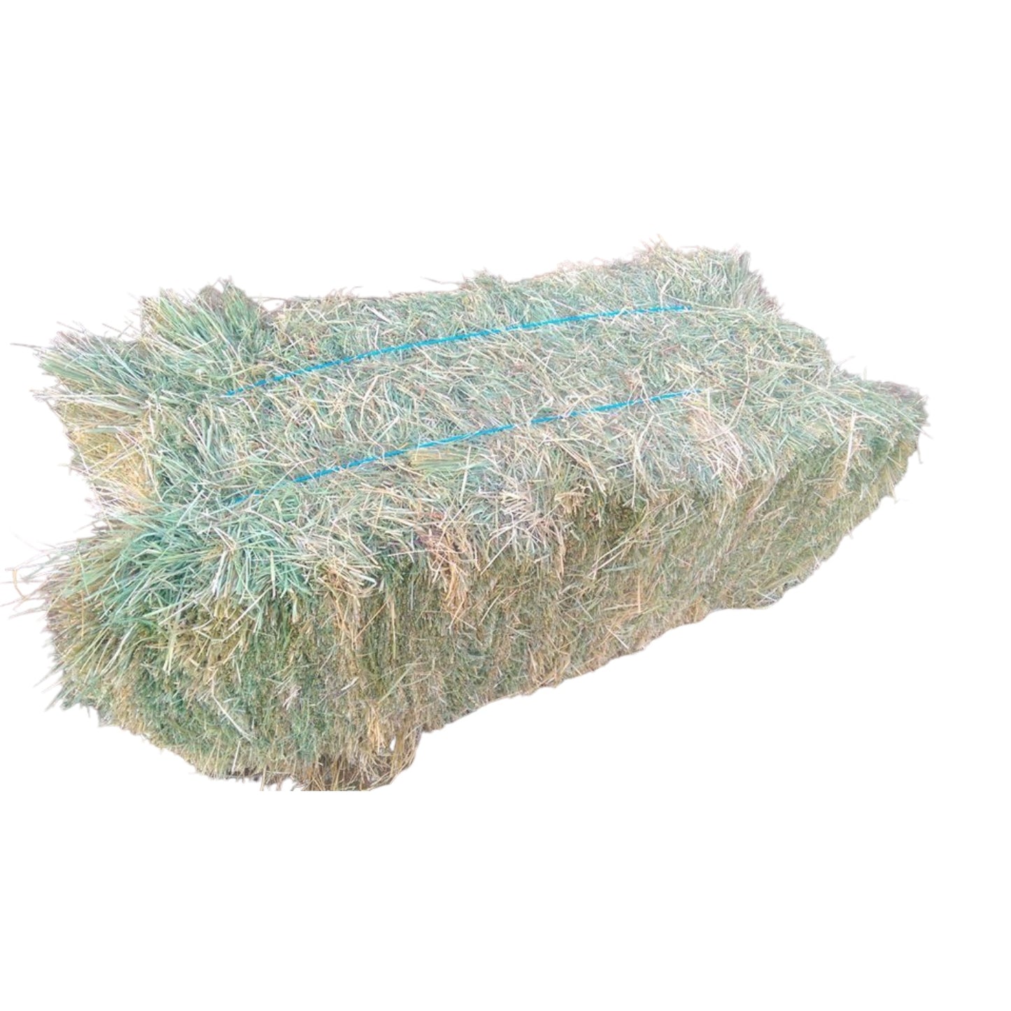 Teff Hay