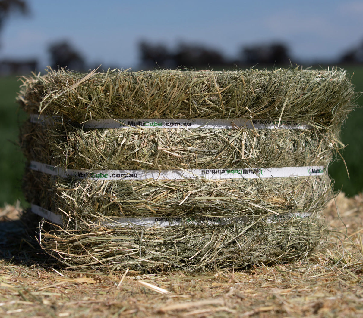 Multicube Compressed Teff Hay
