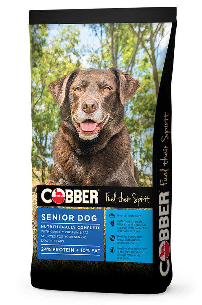 Cobber Senior Dog 20kg
