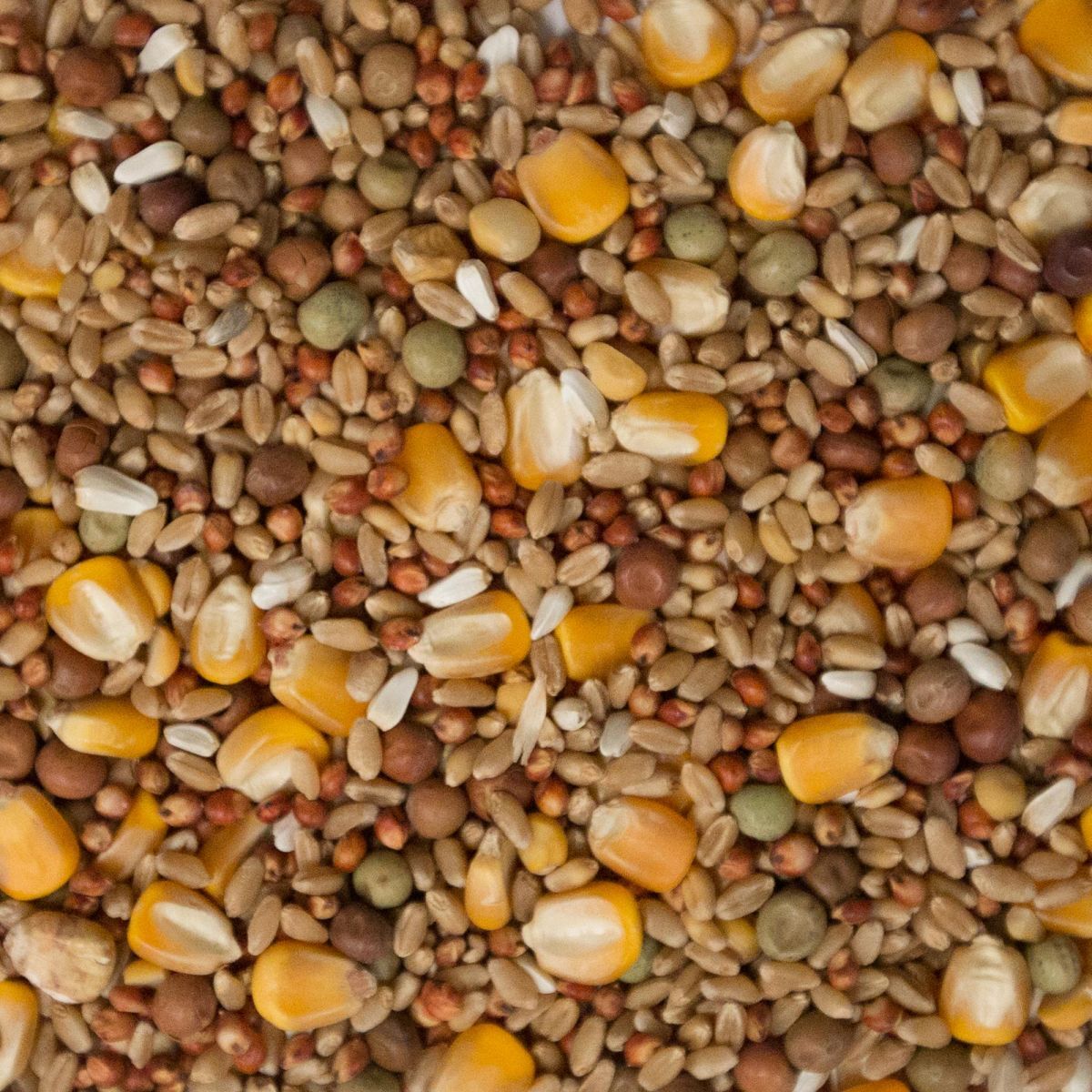 JM Produce Pigeon Stock Mix (5% Pea) 25kg