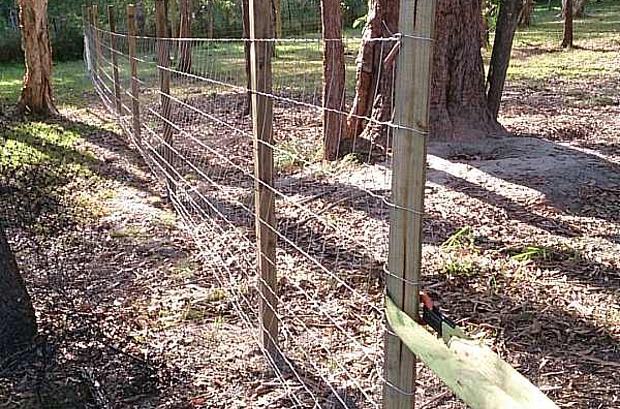 Pre Pack Dog Mesh Wire Roll. 10 Metres