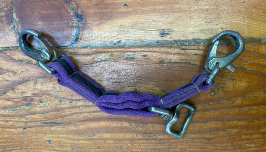 Lunge Clip Purple (230807)