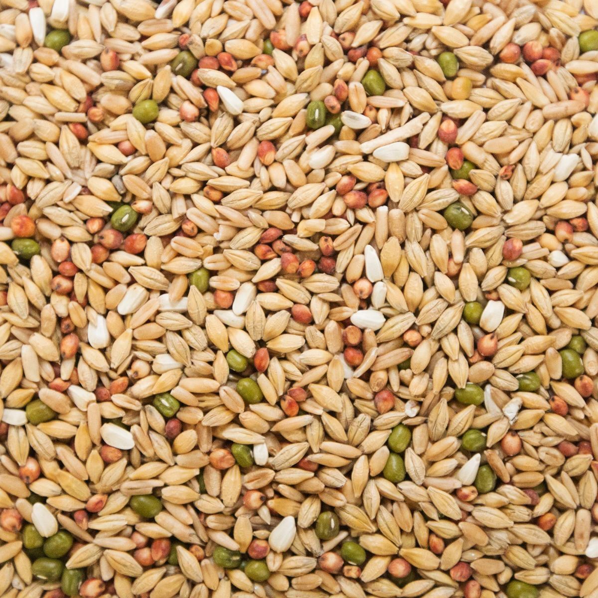 JM Produce Pigeon Depurative Mix 25kg