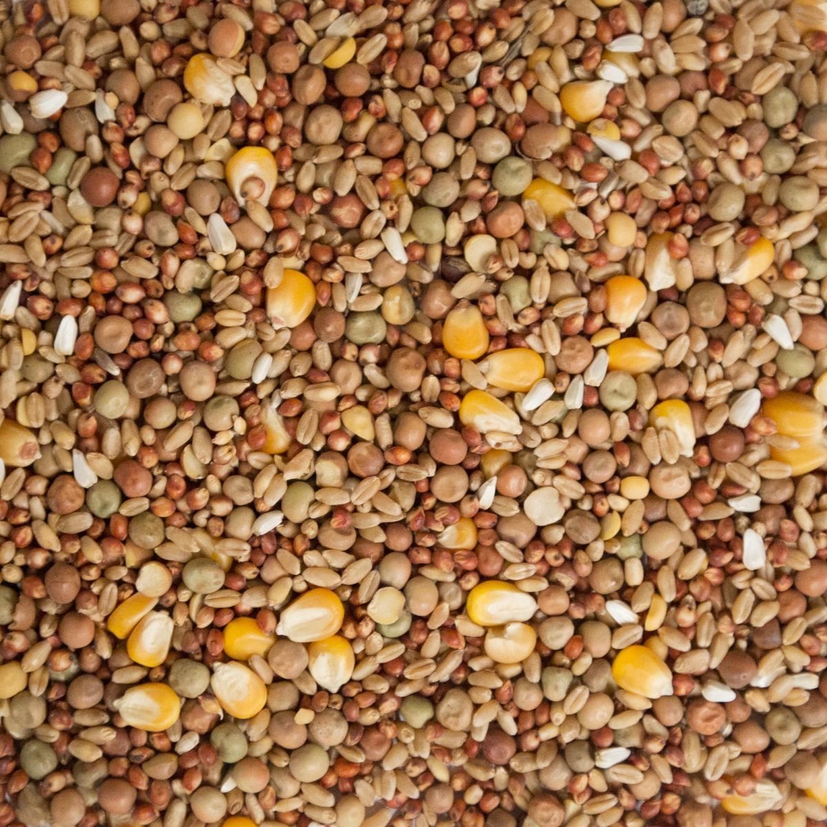 JM Produce Pigeon Stock Mix. 25kg Bag