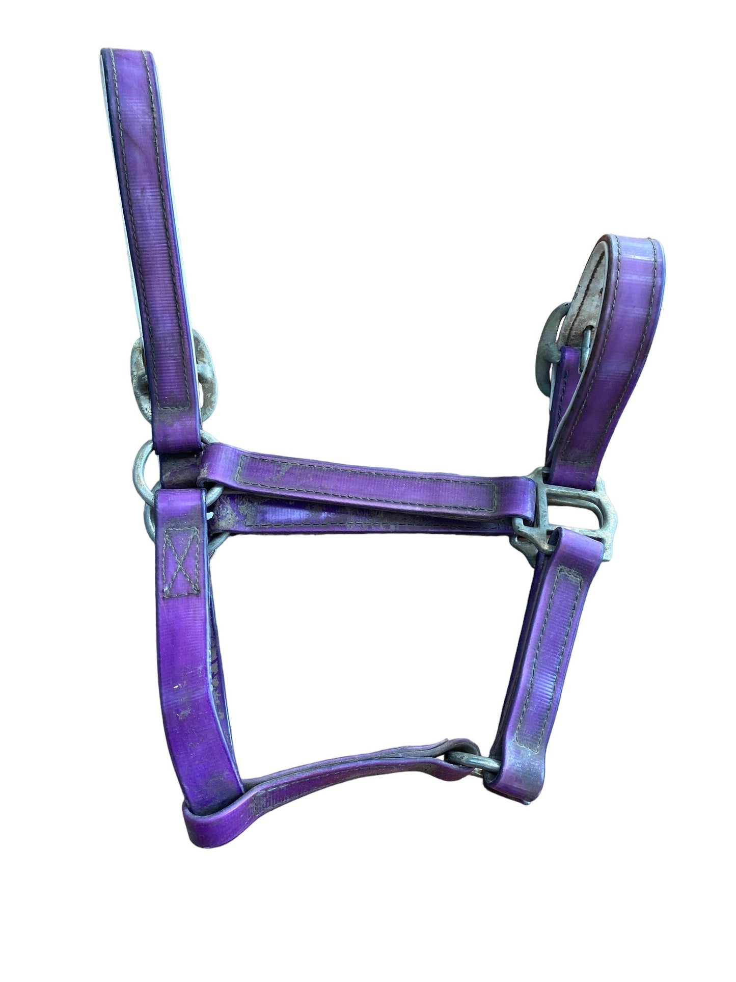 Status PVC Halter COB Purple (231564)