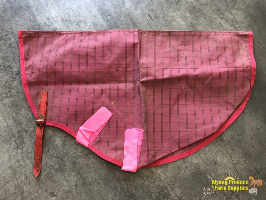 SH Canvas Lined Neck Rug PONY Pink (240311) Coastspetproduce