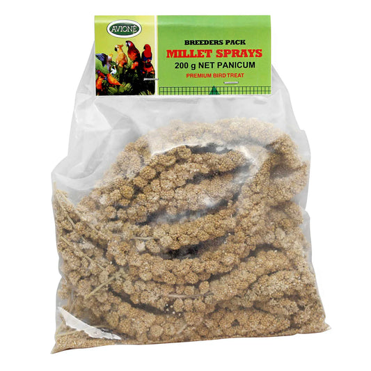 Avione Panicum Millet Spray
