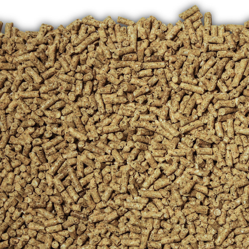 Laucke Black Parrot Breed & Grow 18%