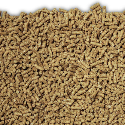 Laucke Black Parrot Breed & Grow 18%
