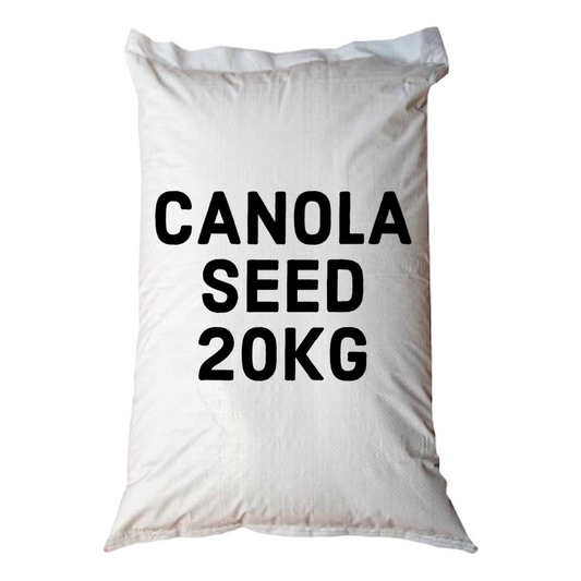 Avigrain Canola Seed