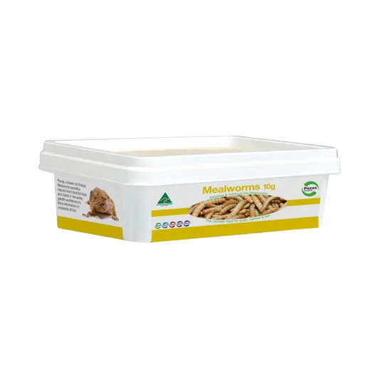 Pisces LIVE Regular Mealworms