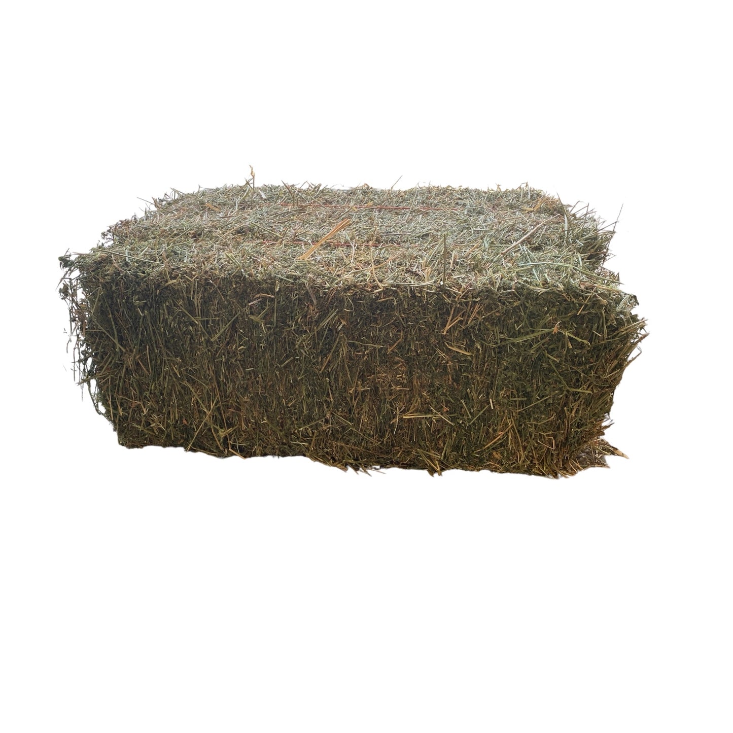 Lucerne Hay (First Grade)