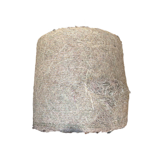 Rhodes Grass Roundbales (B Grade)