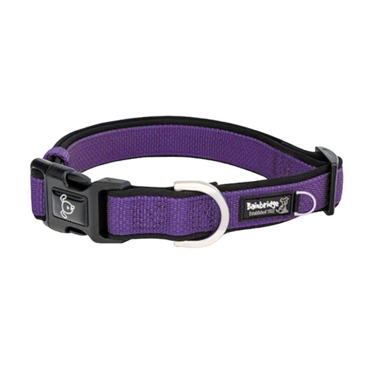 Bainbridge Premium Sport Dog Collar MEDIUM Purple