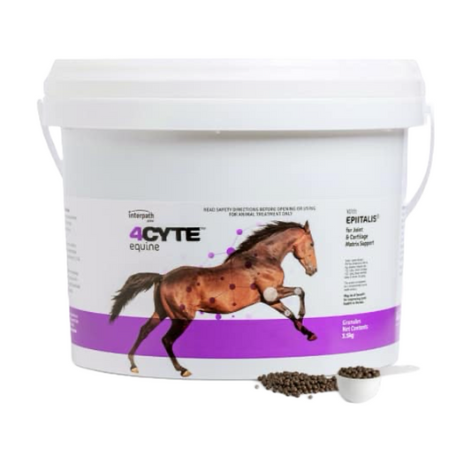 4CYTE Equine Granules