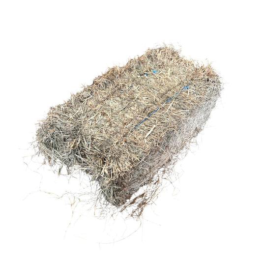 Rhodes Grass Hay