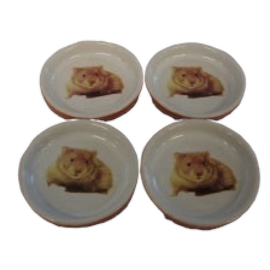 Mini Ceramic Bowl For Small Animals Or Reptiles Feed & Water