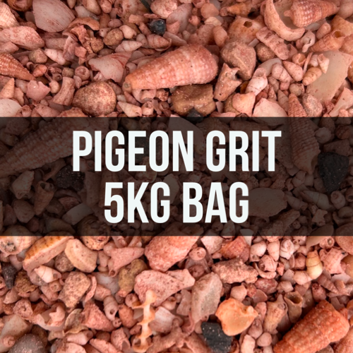 McMahon Pigeon Shell Grit