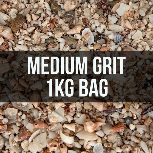 Medium Shell Grit McMahon Medium Shell Grit – Coastspetproduce