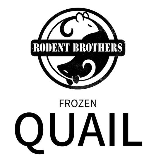 Rodent Brothers Frozen QUAIL