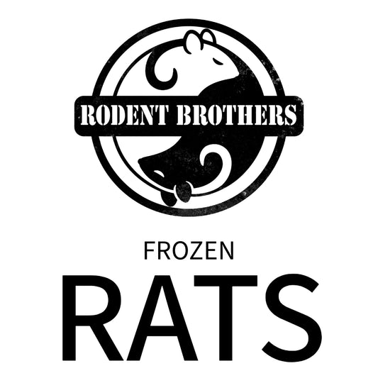 Rodent Brothers Frozen RATS