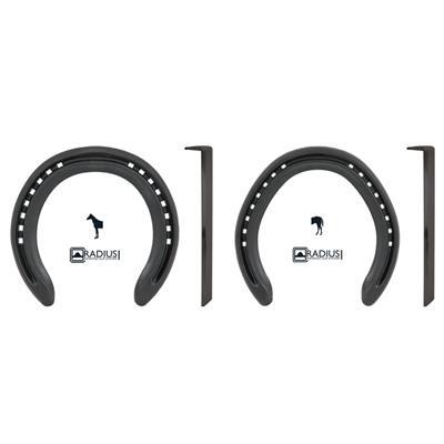 Daily Trainer Steel Horse Shoe