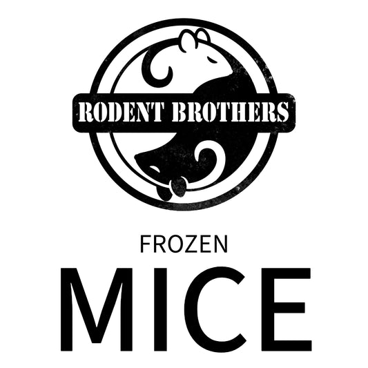 Rodent Brothers Frozen MICE