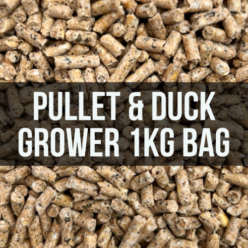 Vella Pullet And Duckling Grower Micro Pellet