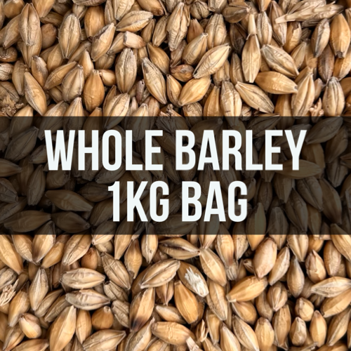 Avigrain Whole Barley
