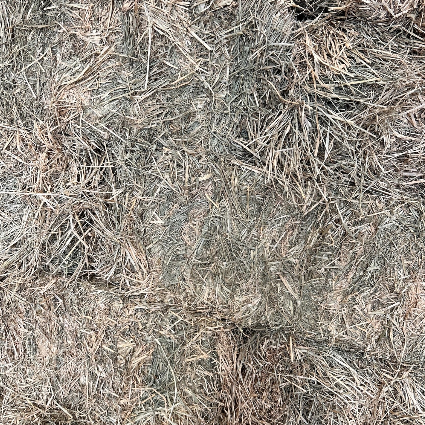 Rhodes Grass Hay