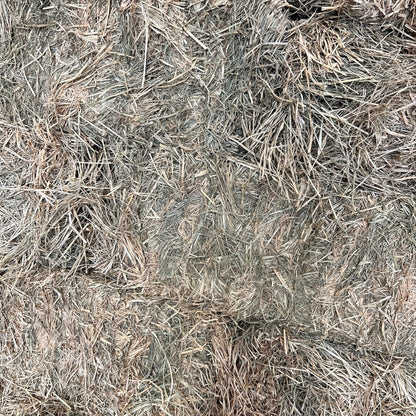 Rhodes Grass Hay