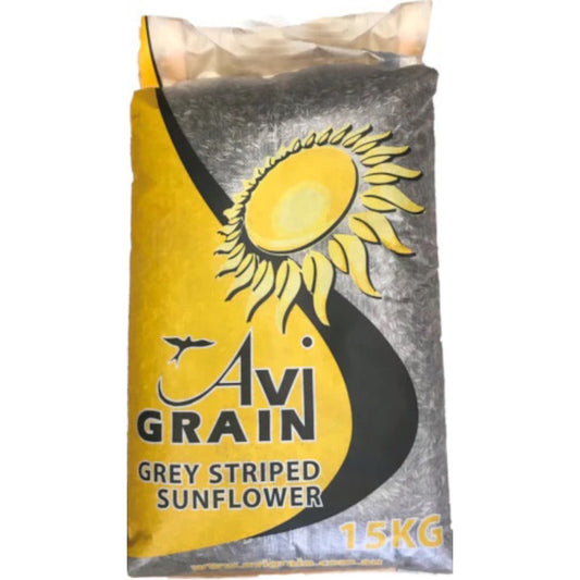 Avigrain Grey Sunflower Seeds