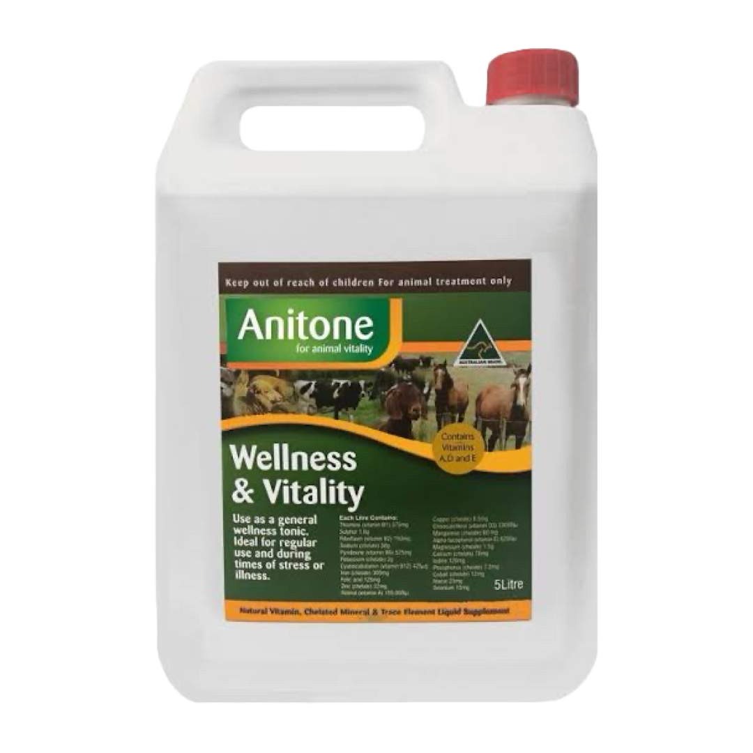 Anitone Wellness & Vitality Liquid Supplement