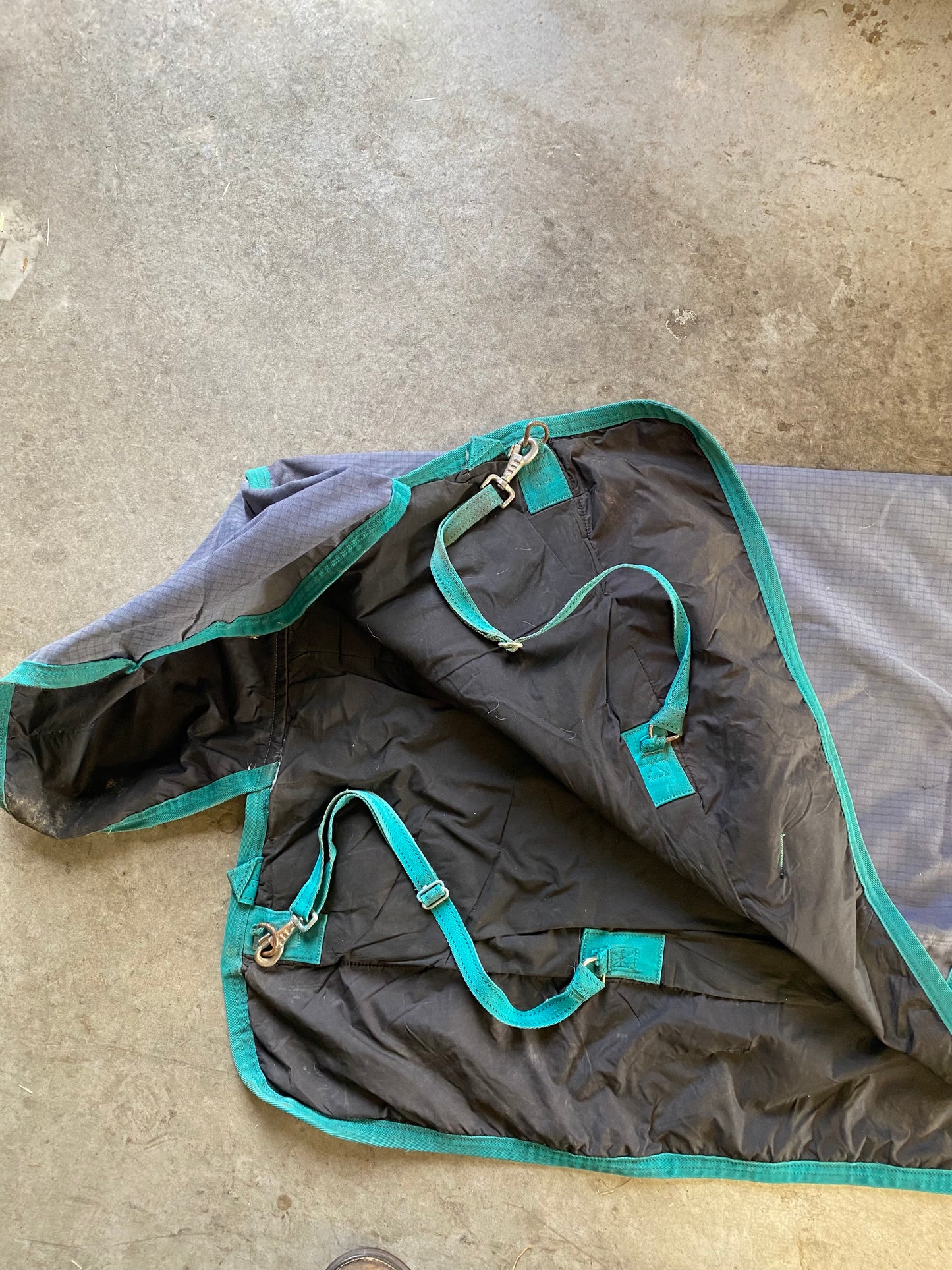 SH Supreme Horseware Paddock Turnout 4'9 (250122)