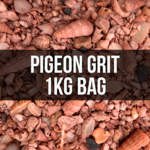 McMahon Pigeon Shell Grit