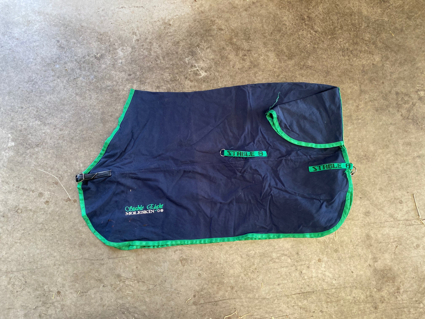 SH Stable 8 Cotton Moleskin 4'3 Navy Blue (250121)