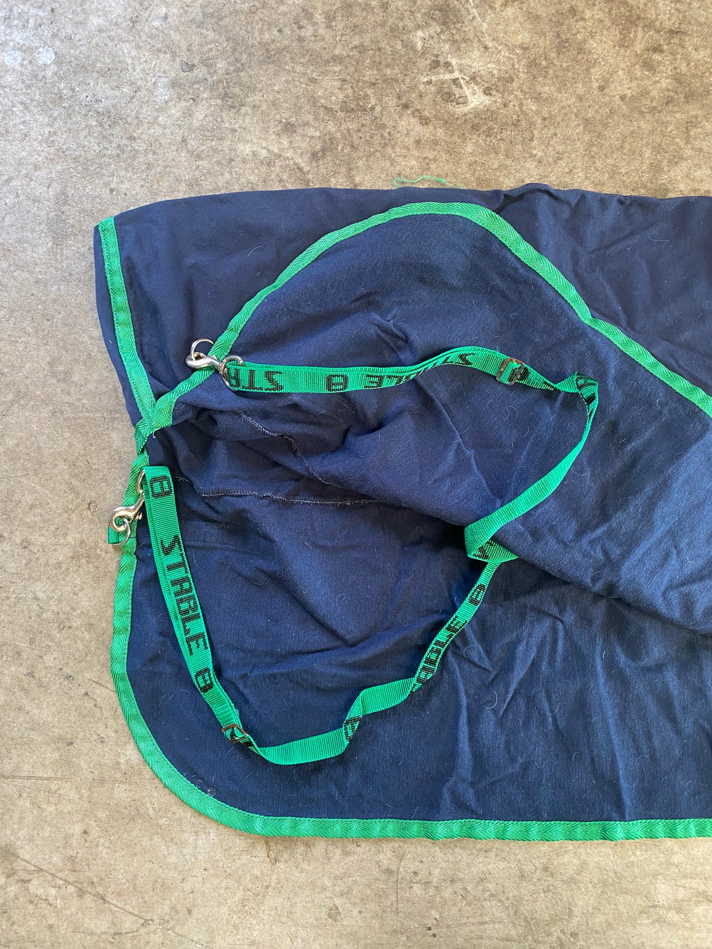 SH Stable 8 Cotton Moleskin 4'3 Navy Blue (250121)