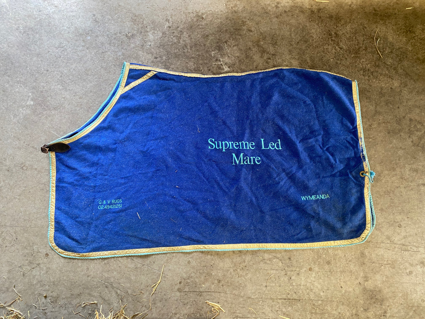 SH Cotton Rug 4'6 (250128)
