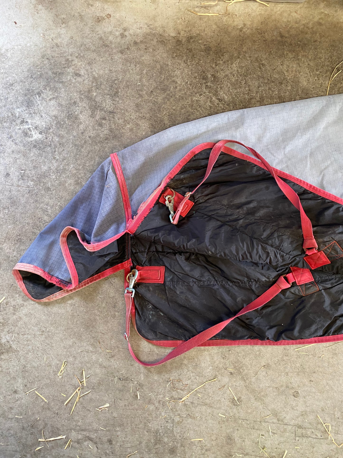 SH Supreme Horseware Paddock Turnout 4'6 (250132)