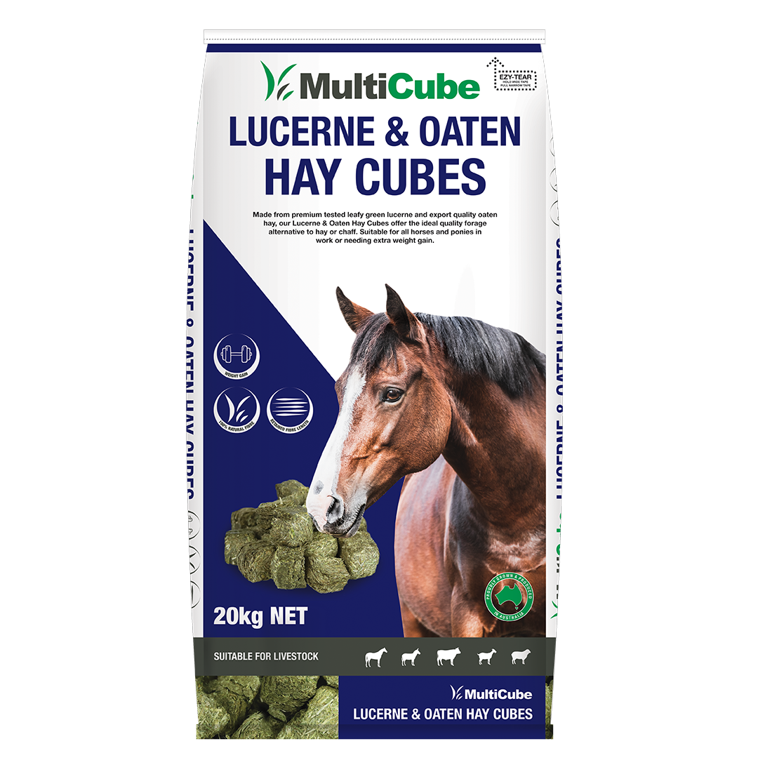 Multicube Lucerne & Oaten Hay Cubes 20kg