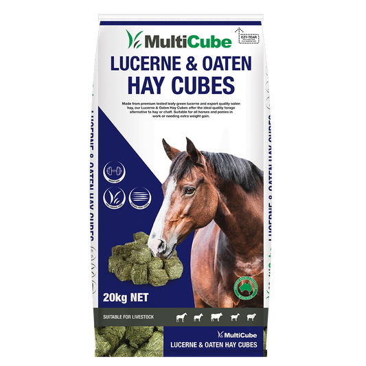 Multicube Lucerne & Oaten Hay Cubes 20kg
