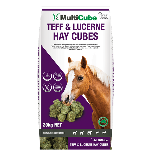 Multicube Lucerne & Teff Hay Cubes 20kg