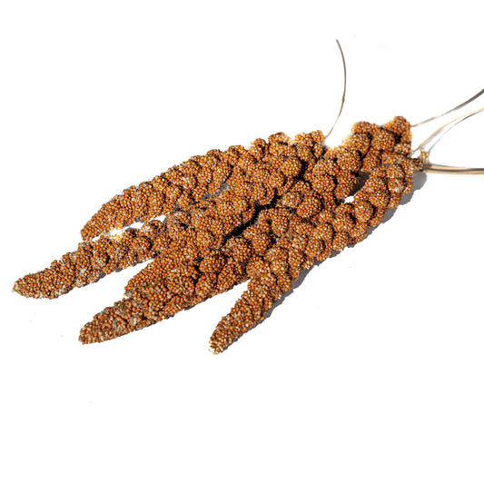 Elite Red Panican Millet Spray