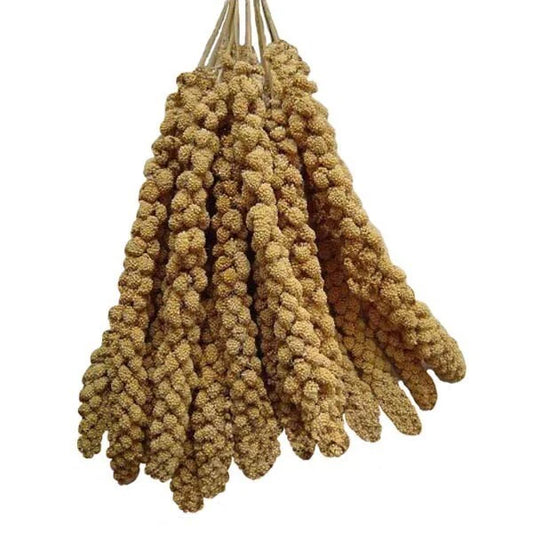 Elite Panican Millet Spray