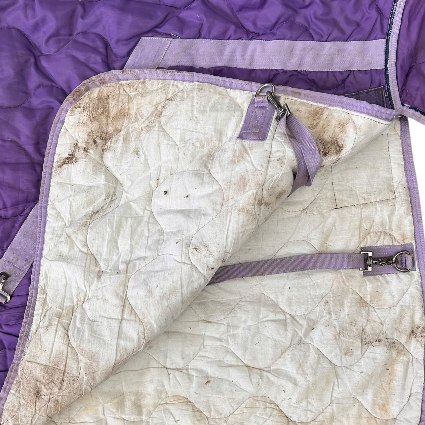 SH Weatherbeeta Stable Set 6'0 Purple (240668)