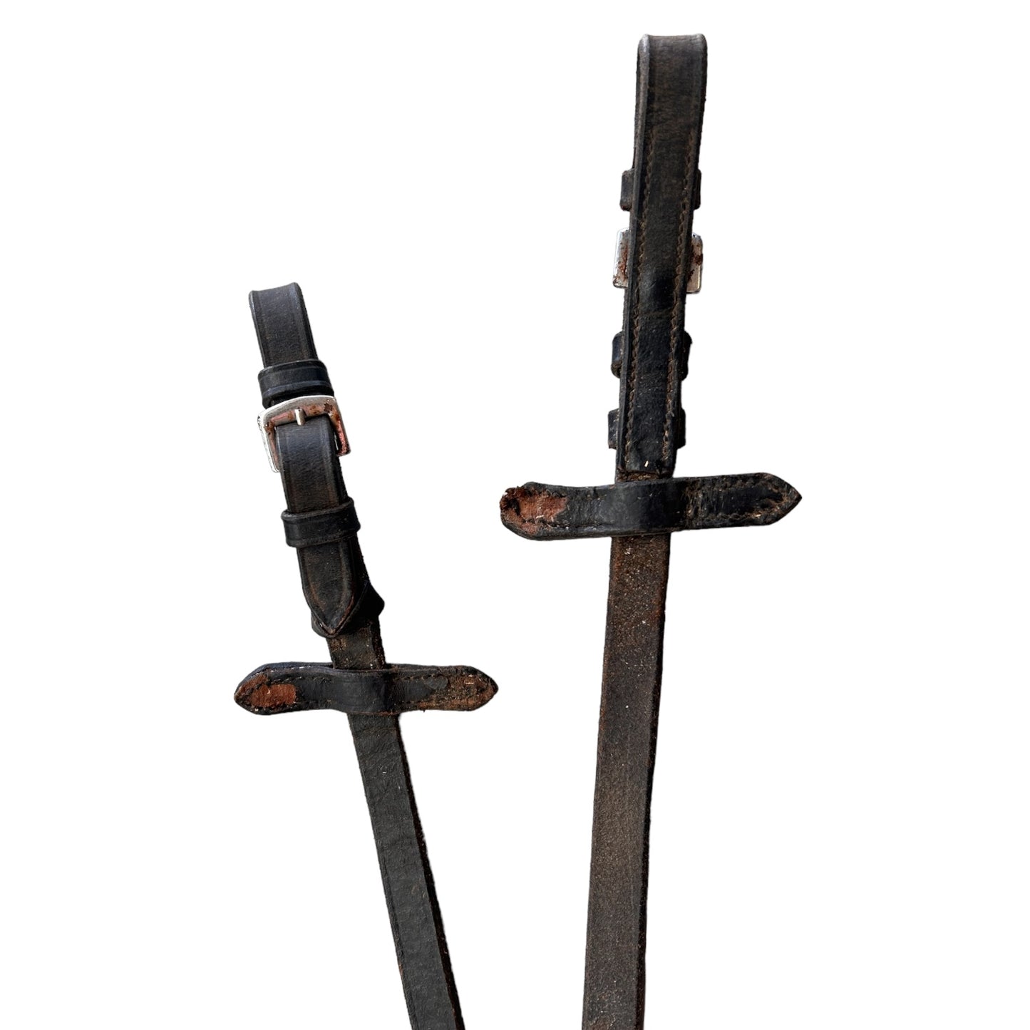 SH Webbing Reins 53"/134.5cm Black (240151)