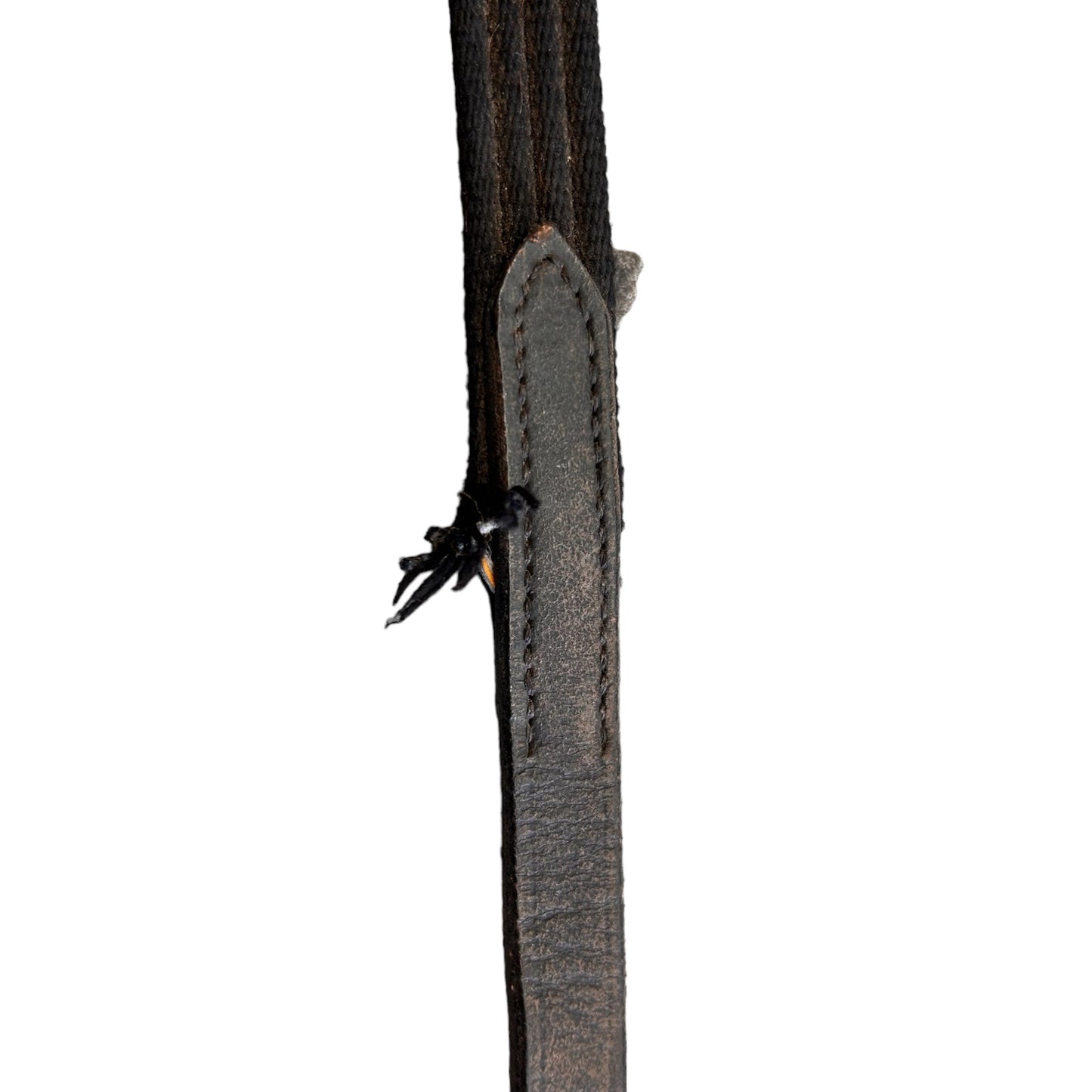 SH Webbing Reins 53"/134.5cm Black (240151)