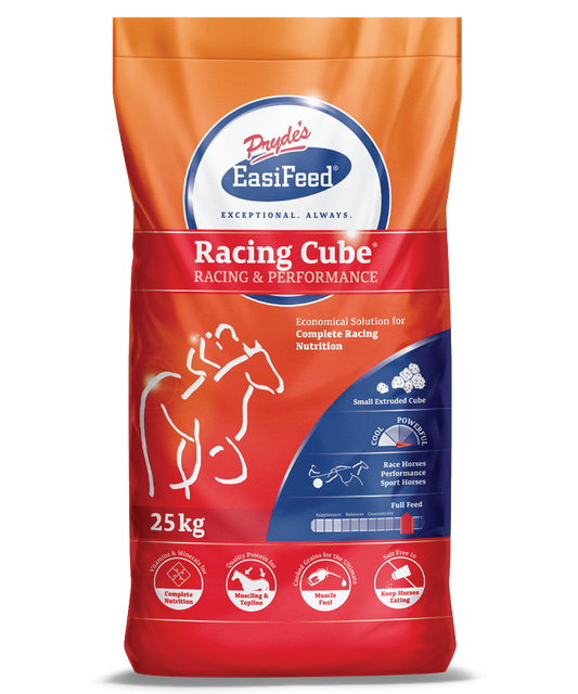 Prydes Racing Cube 25kg