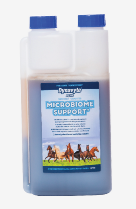 Dynamite Equine Microbiome Support 1L