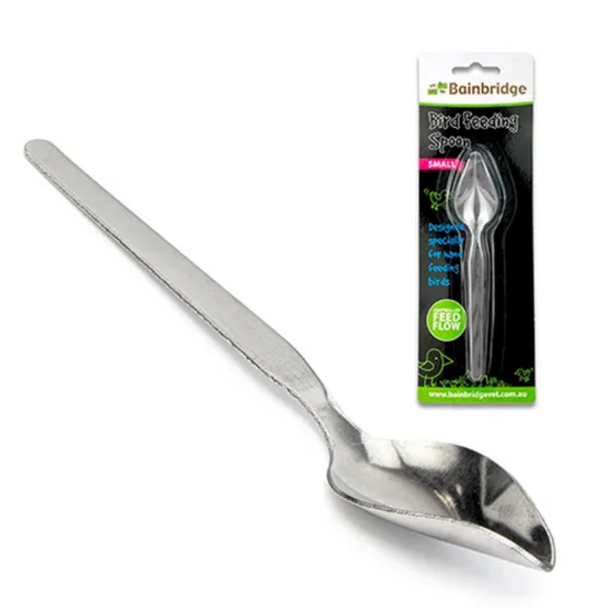 Bainbridge Bird Feeding Spoon